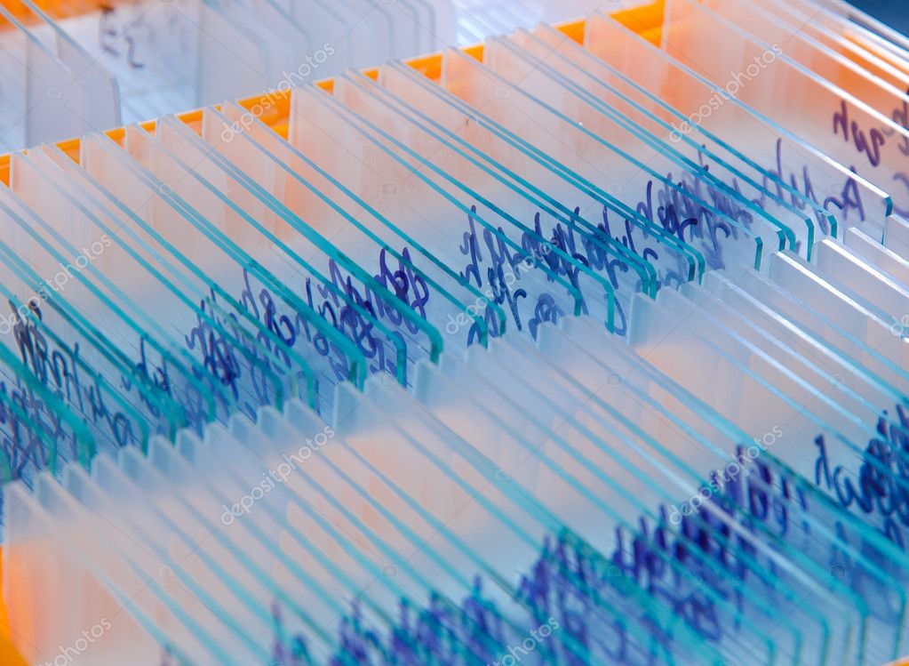 Glass microscope slide Stock Photo by ©panxunbin 17404971