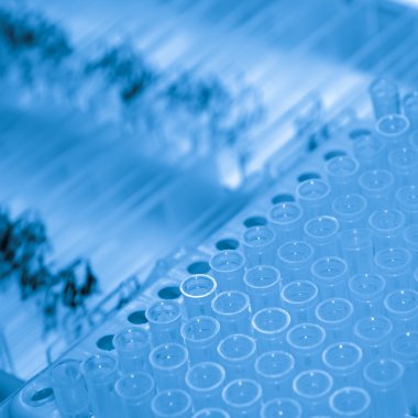 cam mikroskop kaymak