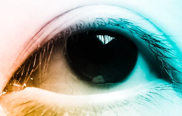 Eye macro — Stock Photo, Image