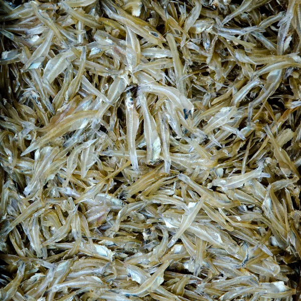 Whitebait Gümüş Balık — Stok fotoğraf