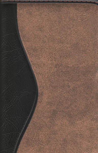 Koyu kahverengi ve siyah deri — Stok fotoğraf