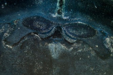 mikroskopi faresi beyin hipokampal nöronları