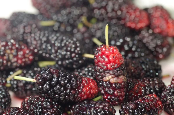 Fruta de mora — Foto de Stock