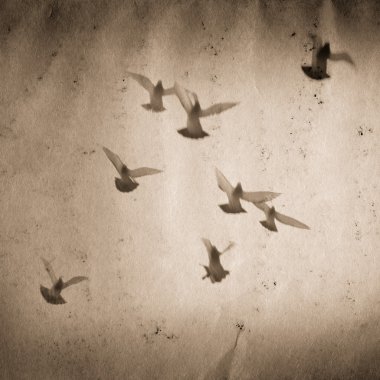 Grup eski kağıt doku uçan güvercin