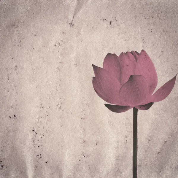 Lotus flower old grunge paper texture — Stock Photo, Image