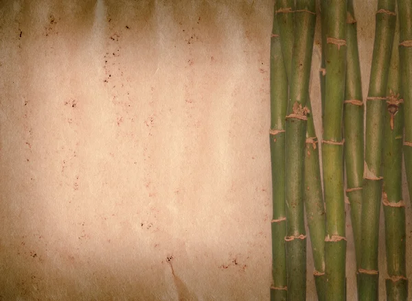 Бамбукова стара текстура гранжевого паперу — стокове фото