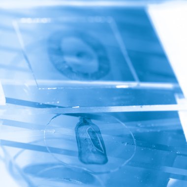 Bilim mikroskop slayt