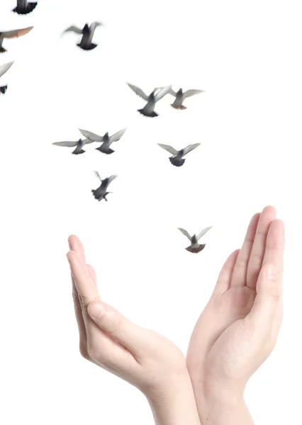 Flying dove with open hand — Stock Photo, Image