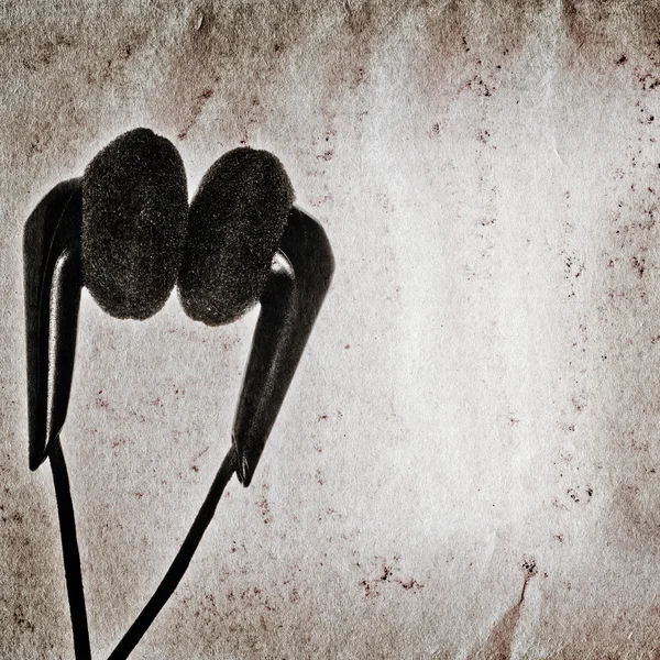 Müzik kulaklık eski kağıt doku — Stok fotoğraf