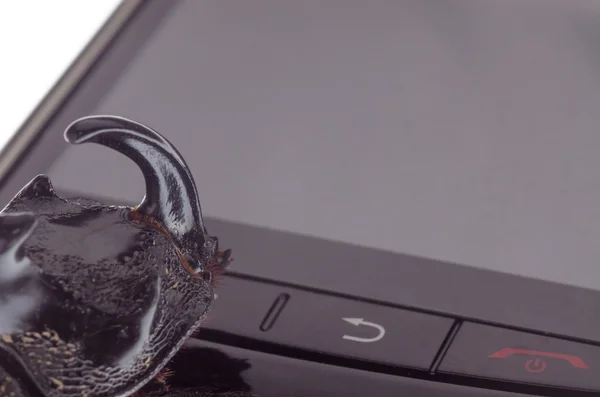 Beetle looking at cell phone screen — Stock Photo, Image