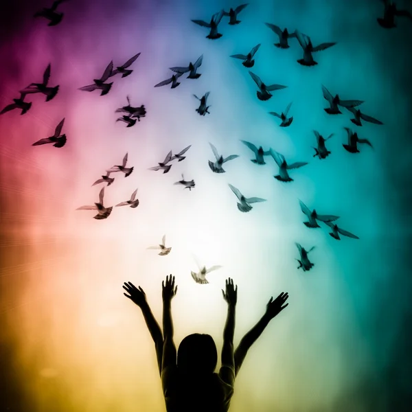 Silhouette of girl and dove — Stock Photo, Image