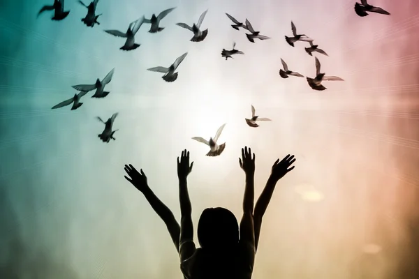 Silhouette of girl and dove — Stock Photo, Image