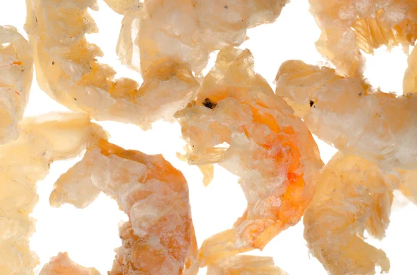 Dry shrimp isolated — Stock Photo, Image