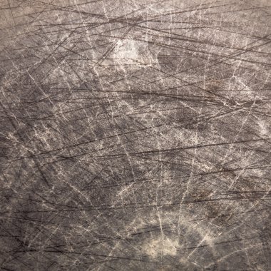 eski püskü kesilmiş ağaç gövde doku