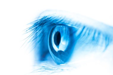 eye macro