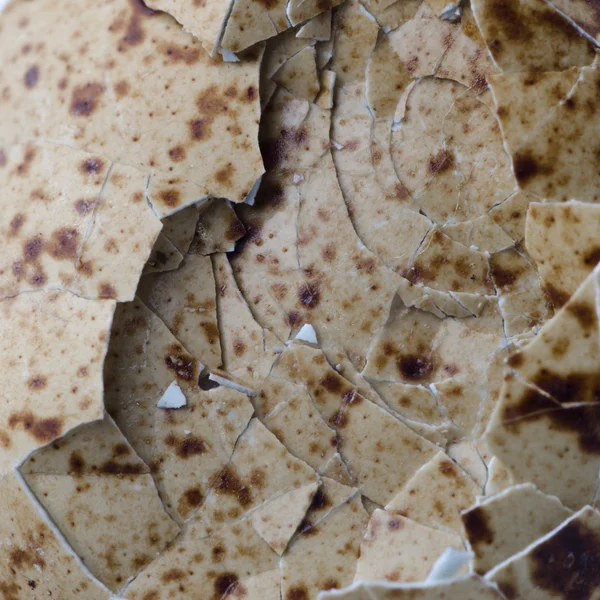 Textura de casca de ovo de pássaro — Fotografia de Stock