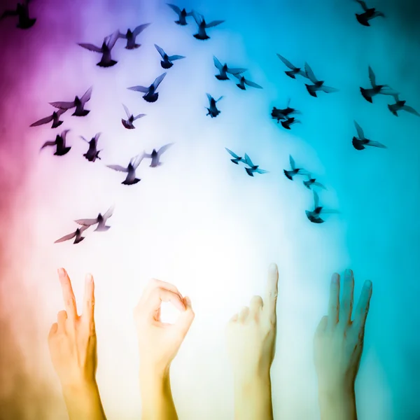 Hand with 2013 number flying doves new year background — Stock Photo, Image