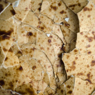 kuş yumurta kabuğu dokusu