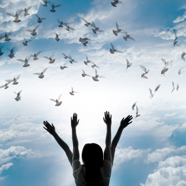 Silhouette of girl and flying dove on sky background, — Stock Photo, Image