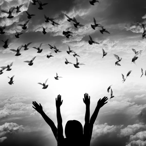 Silhouette of girl and flying dove on sky background, — Stock Photo, Image