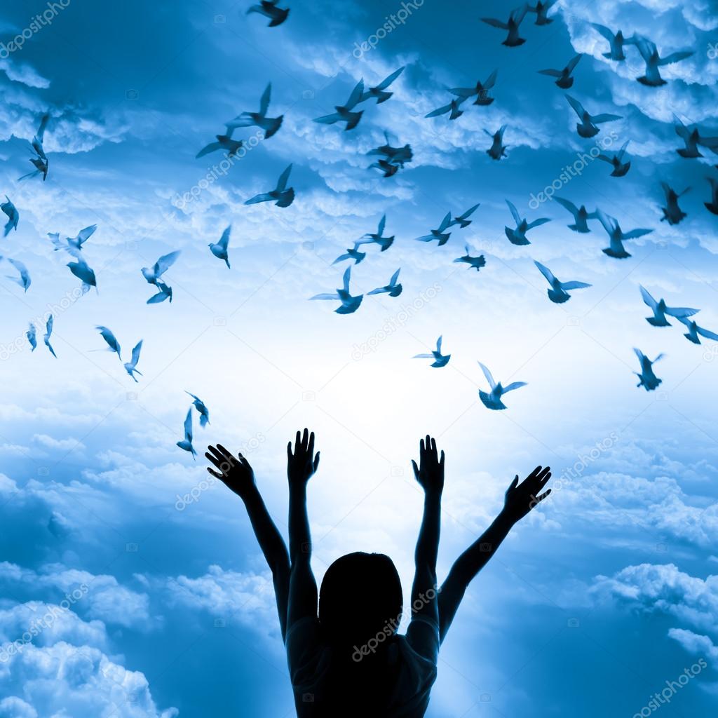 Silhouette of girl and flying dove on sky background,