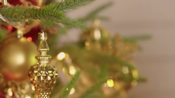 B rulla kvinnliga dekorera med leksak jul gran — Stockvideo