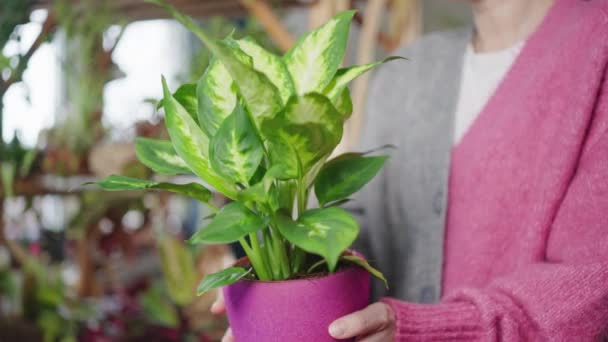 Dáma držící květináč s rostlinou — Stock video