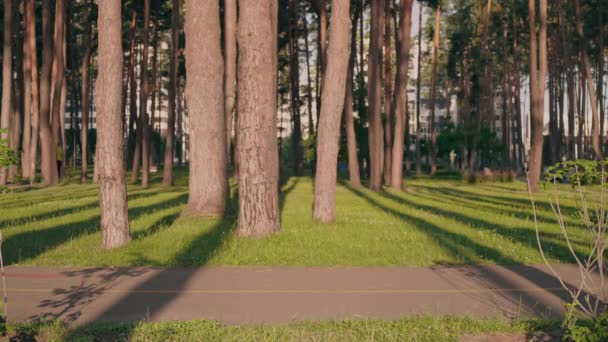 Runner sprinting in city park — Stok video