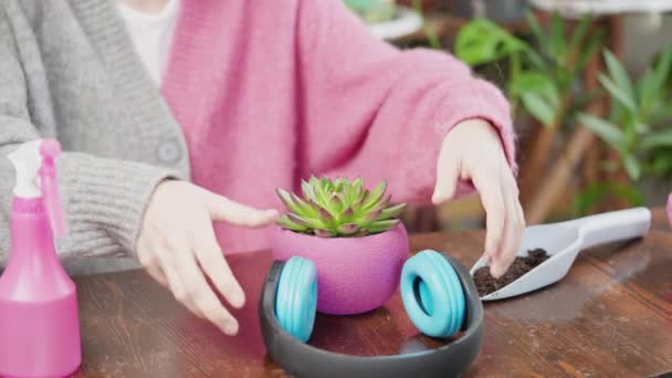 Gardener Home Take Care Potted Plant Succulent Holding Headphones — Vídeo de Stock