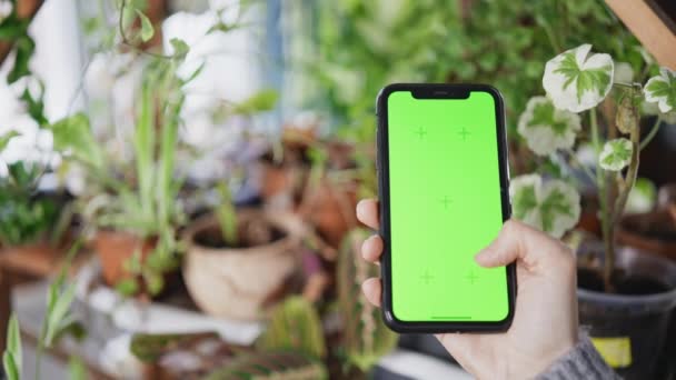 Person Scrolling Smartphone Green Screen Background Potted Plant Florists Store — Vídeos de Stock