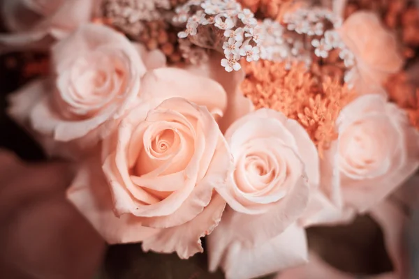 Bouquet di rose — Foto Stock