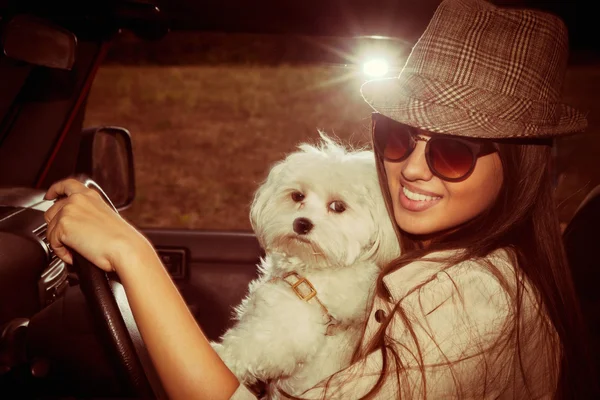 Menina e cão no carro — Fotografia de Stock