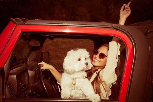 Девушка и собака в машине — стоковое фото