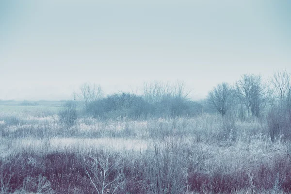 Misty landscape — Stock Photo, Image
