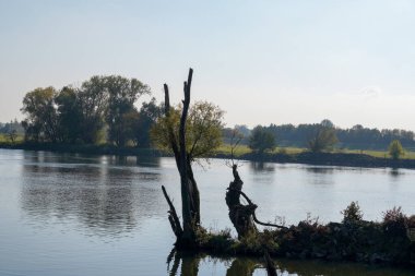 Bavyera yakınlarındaki Tuna Nehri boyunca yeşil ve kahverengi tonlarda sonbahar renklerinde farklı panorama çekimleri