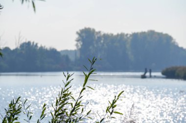 Bavyera yakınlarındaki Tuna Nehri boyunca yeşil ve kahverengi tonlarda sonbahar renklerinde farklı panorama çekimleri
