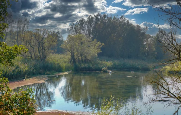 Осенние Цвета Различных Панорамных Снимках Зеленых Коричневых Тонах Вдоль Дуная — стоковое фото