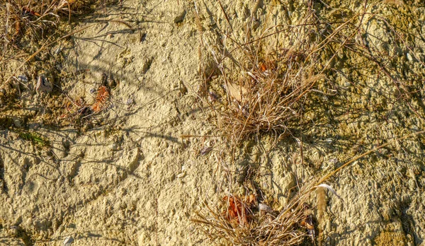 Boden Aus Dem Steinbruch Als Abfallprodukt Und Vielseitig Garten Einsetzbar — Stockfoto