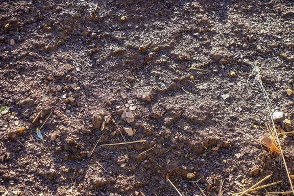 Bodem Uit Steengroeve Als Afvalproduct Voor Veelzijdig Gebruik Tuin — Stockfoto