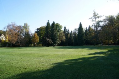 Almanya 'da açık olan herkes için park yeri