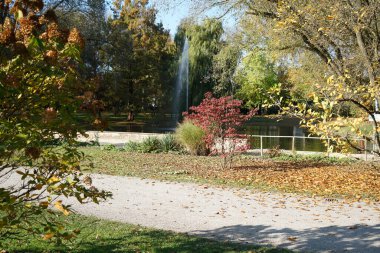 Almanya 'da açık olan herkes için park yeri