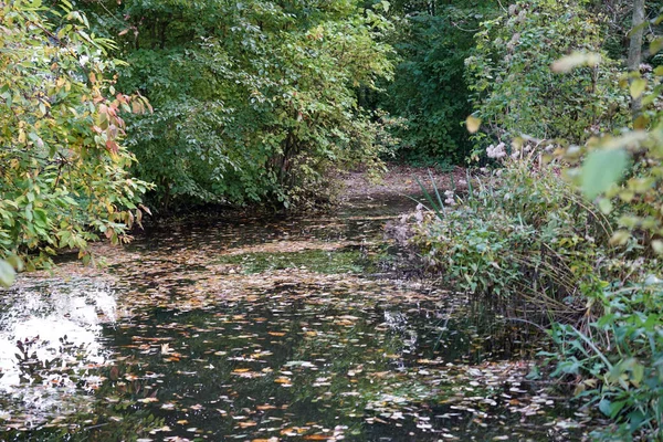 Parc Loisirs Pour Tous Ouvert Allemagne — Photo