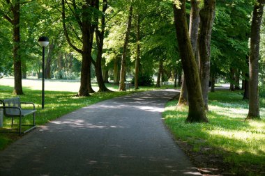 Almanya 'da açık alanların dinlenmesi için parkı korudu