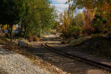 Almanya 'da açık alanların dinlenmesi için parkı korudu