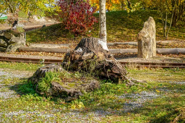 Gepflegter Freizeitpark Für Alle Deutschland — Stockfoto