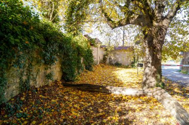 Almanya 'da açık alanların dinlenmesi için parkı korudu