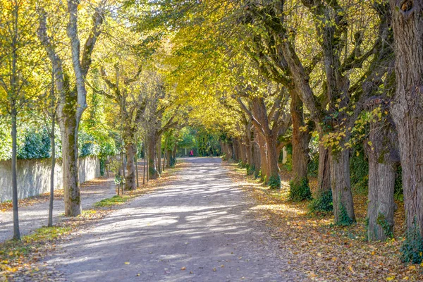 Udržovaný Park Pro Rekreaci Pro Všechny Otevřené Německu — Stock fotografie