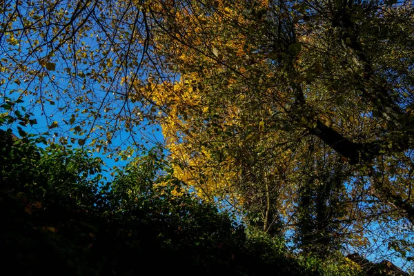 Parque Mantido Para Recreação Para Todos Aberto Alemanha — Fotografia de Stock