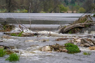 Yağmur Tuna Nehri 'nin bir koludur ve sonbaharda çekilen Bavyera Ormanı' ndan geçer.