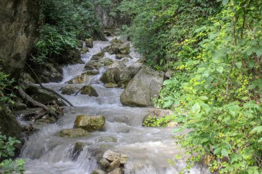 Yağmur Tuna Nehri 'nin bir koludur ve sonbaharda çekilen Bavyera Ormanı' ndan geçer.